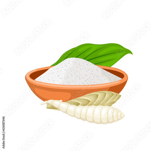 Schilderij op canvas Vector illustration, Maranta arundinacea flour, known as maranta or arrowroot, isolated on white background