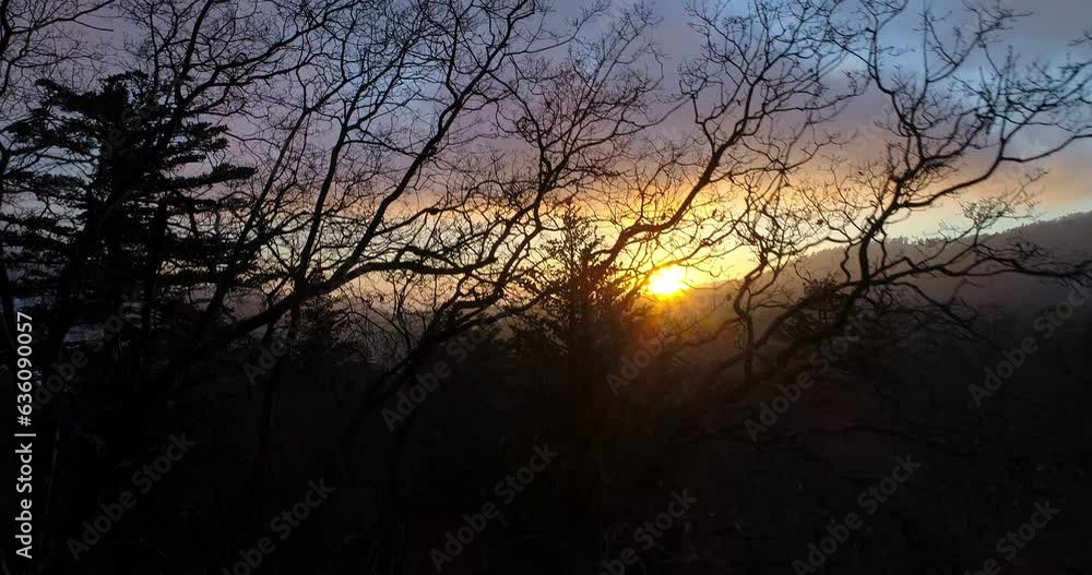 Aerial Shot Of Trees Near Mountains Against Orange Sky At Sunset, Drone Ascending Over Landscape - Big Bear Lake, California Aerial Shot Of Trees Near Mountains Against Orange Sky At Sunset, Drone Ascending Over Landscape - Big Bear Lake, California