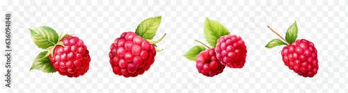 Raspberry watercolor graphic transparent isolated 