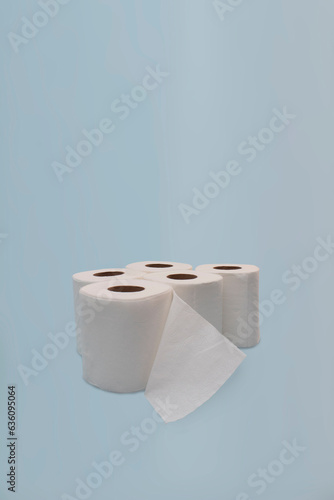 Toilet paper rolls