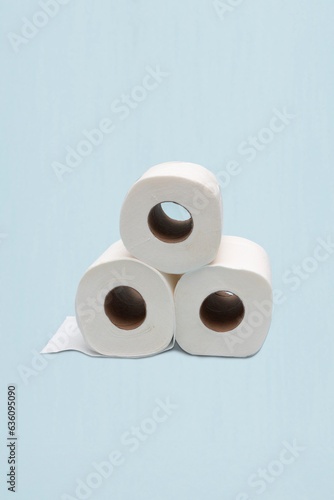 Toilet paper rolls