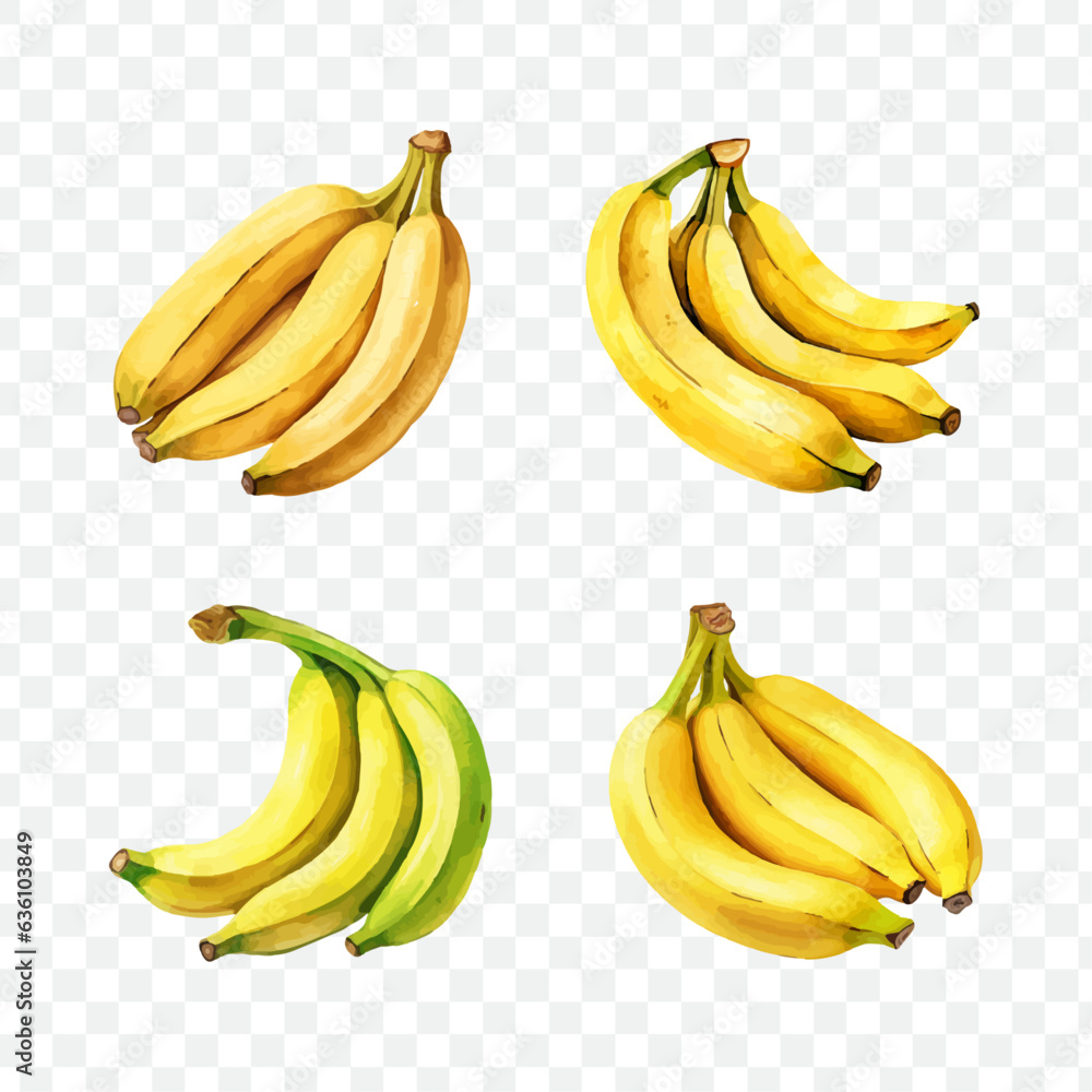 Banana watercolor graphic transparent isolated Banana watercolor graphic transparent isolated