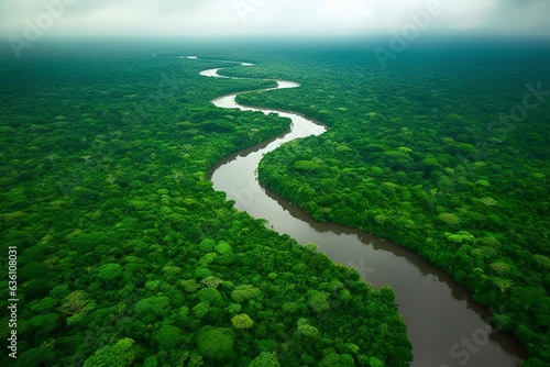 Aerial view of the Amazonas jungle landscape with river bend.  © EMRAN