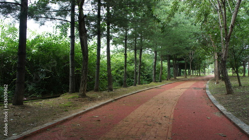 오솔길 pathway