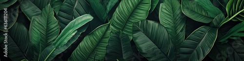Botanical Photo Background: Lush Tropical Leaves Generative AI