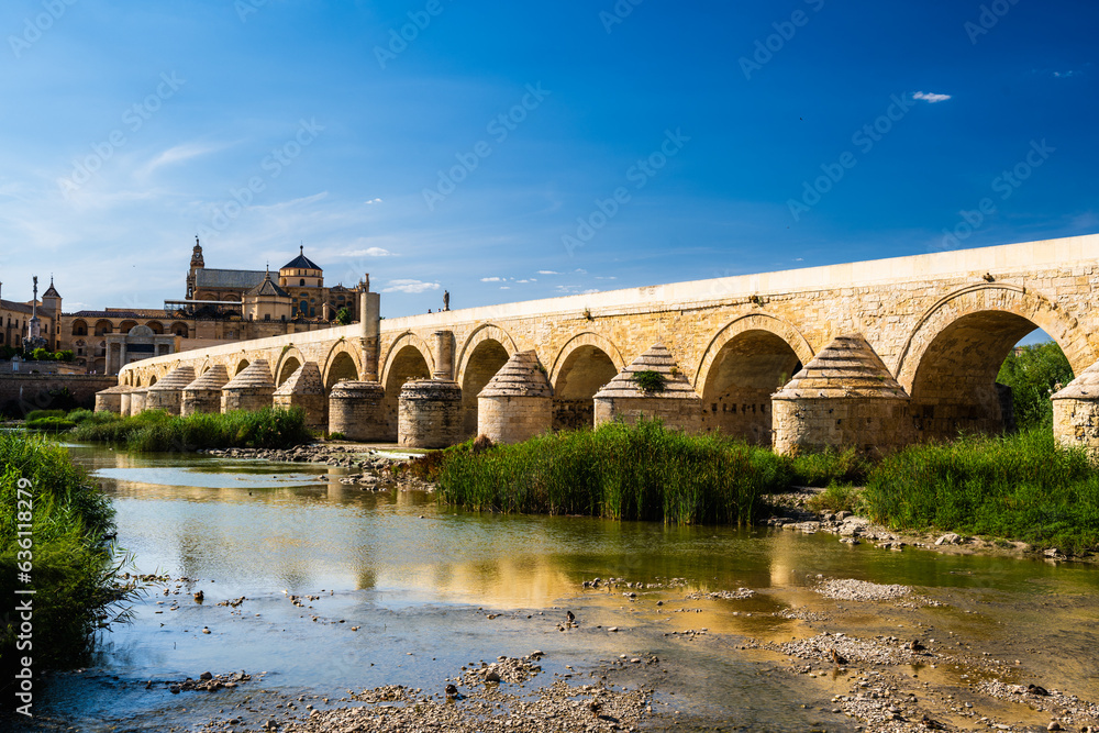 Fototapeta premium Guadalquivir River View with Roman Bridge and Cordoba's Mosque-Cathedral on a Clear Summer Afternoon, Spain