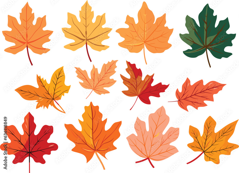 autumn leaves collection, set of leaves, leaves collection autumn leaves collection, set of leaves, leaves collection