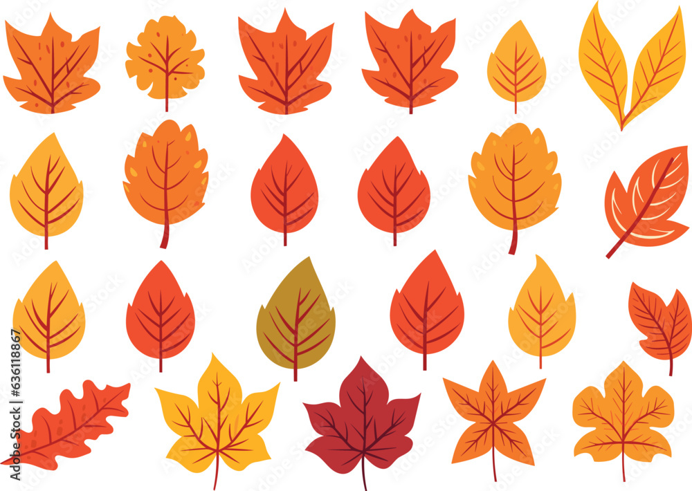 Obraz premium autumn leaves collection, set of leaves, leaves collection