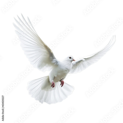 Flying White Pigeon isolated on transparent background, peace dove, Generative ai © The Deep Designer