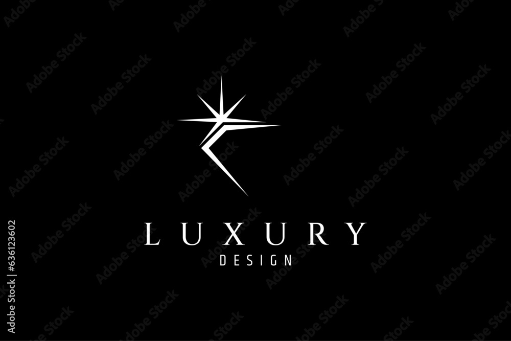 Sparkling diamond silhouette logo vector image Sparkling diamond silhouette logo vector image