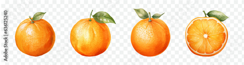 Orange fruit watercolor graphic transparent isolated 