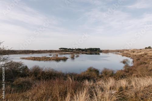 view on the marshland with peacful water photo