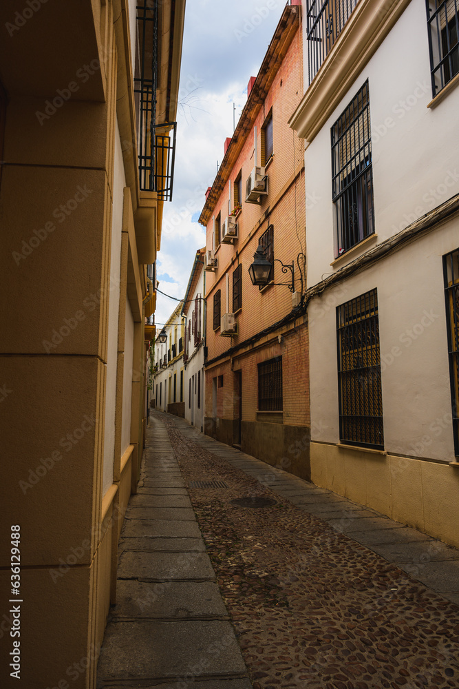 Vertical View of Narrow Cobblestone Street in Cordoba, Andalusia, Spain, Featuring Distinctive Architecture and Window Details