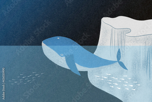 Blue whale illustration photo