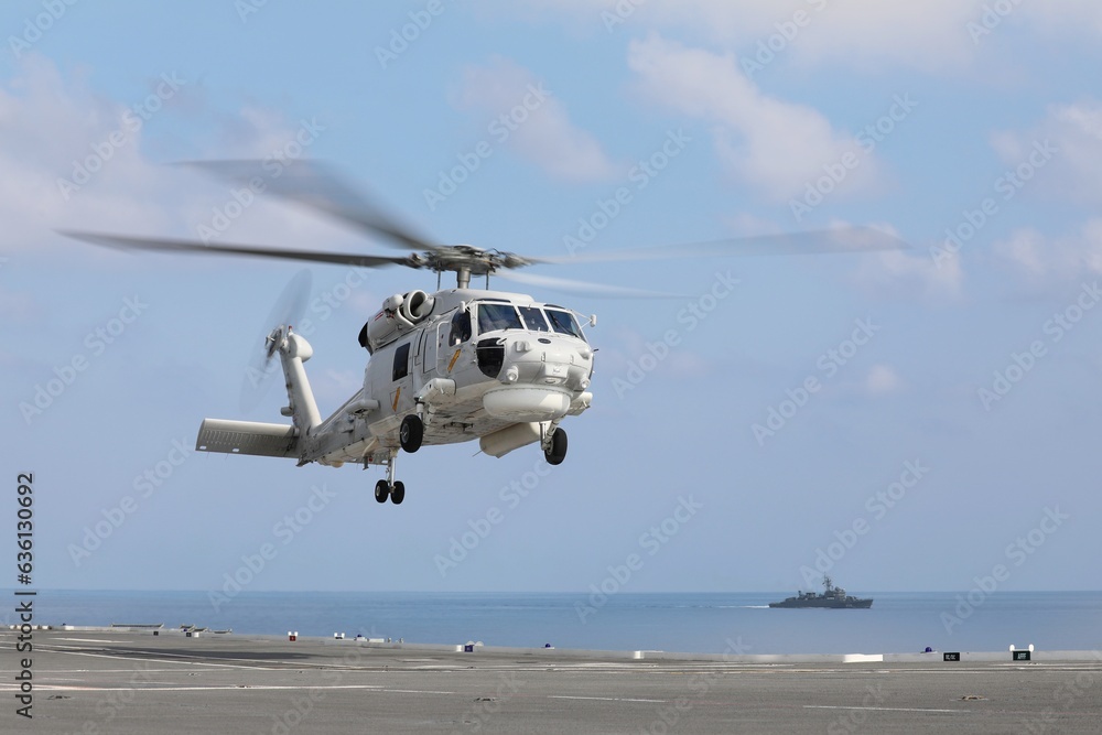 Helicopters in flight, cream colored helicopters taking off, luxury lifestyle, holiday tours
Helicopters in flight, cream colored helicopters taking off, luxury lifestyle, holiday tours