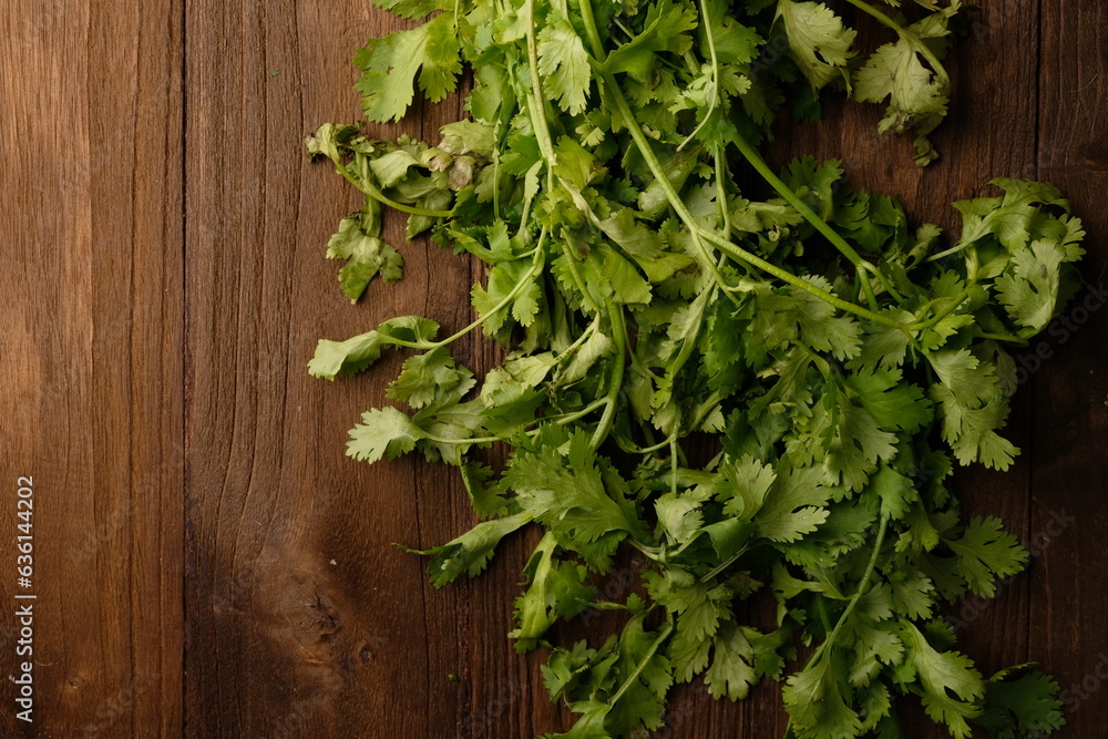 Coriander leaves on brown wooden table. Herb leaves are commonly used for seasoning. Coriandrum sativum Coriander leaves on brown wooden table. Herb leaves are commonly used for seasoning. Coriandrum sativum