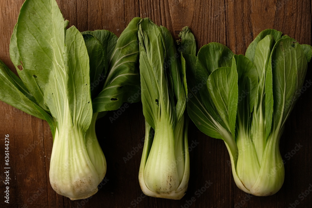 Pakcoy or bok choy, also known as mustard spoon, is easy to cultivate and can be eaten fresh or processed into pickles. Brassica rapa subsp. chinensis Pakcoy or bok choy, also known as mustard spoon, is easy to cultivate and can be eaten fresh or processed into pickles. Brassica rapa subsp. chinensis