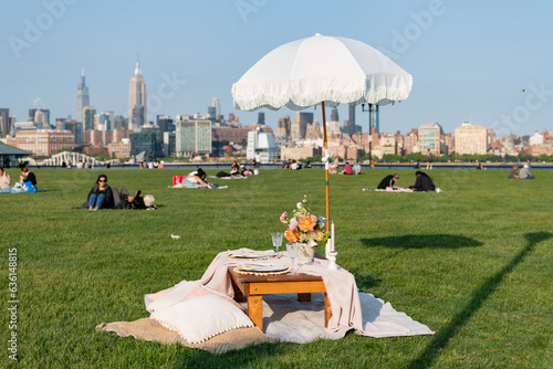 summer picnic in the central park. romantic date in manhattan. picnic in new york. summer outdoor romance. romantic picnic in summer. luxury picnic dinner