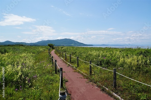 Path in  Cape Kimuaneppu photo