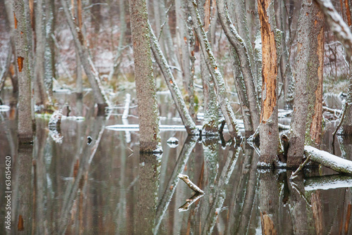 Wallpaper Mural Bieberbauten im Briesetal, Brandenburg Torontodigital.ca