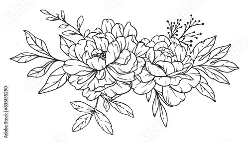 Peony Line Art, Fine Line Peony Bouquets Hand Drawn Illustration. Coloring Page with Peony Flowers. 