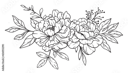 Peony  Line Art, Fine Line Peony Bouquets Hand Drawn Illustration. Coloring Page with Peony Flowers. 