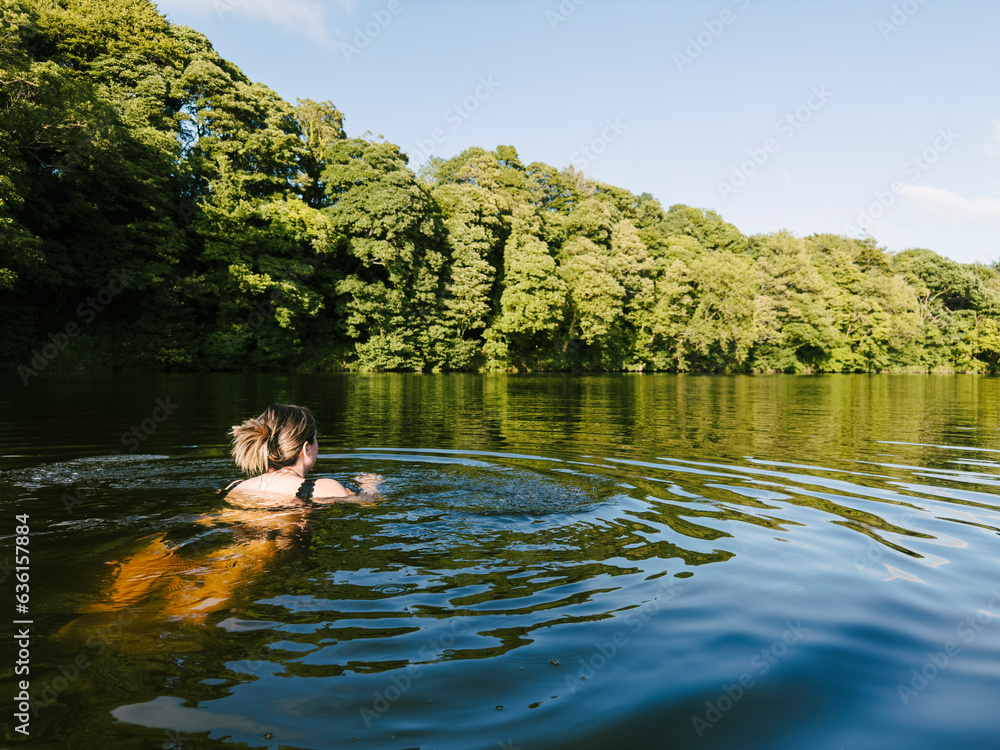 Wild swimmer swimming in the river at sunset Wild swimmer swimming in the river at sunset