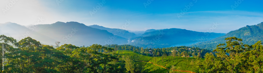 Sri Lanka upland aerial scenic green valley with narrow road in the middle of sunlit tea plantations with mountain ranges in the distance.