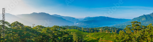 Sri Lanka upland aerial scenic green valley with narrow road in the middle of sunlit tea plantations with mountain ranges in the distance.