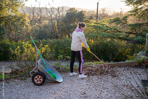 Woman gardening, collecting autumn leaves with a rake in early winter, in Provence, a region of southern France. photo