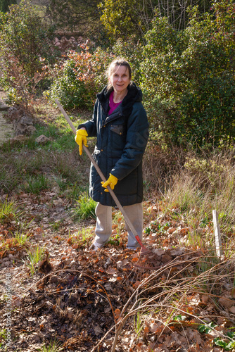 Woman gardening, picking up the fallen autumn leaves with a rake at the beginning of winter, in Provence, a region of the southern France photo