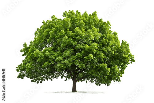 High-Resolution Photo of Beautiful Tree Generative Ai