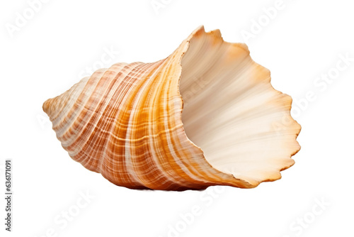 Sea Shell Isolated on transparent background Generative AI © Cool Free Games