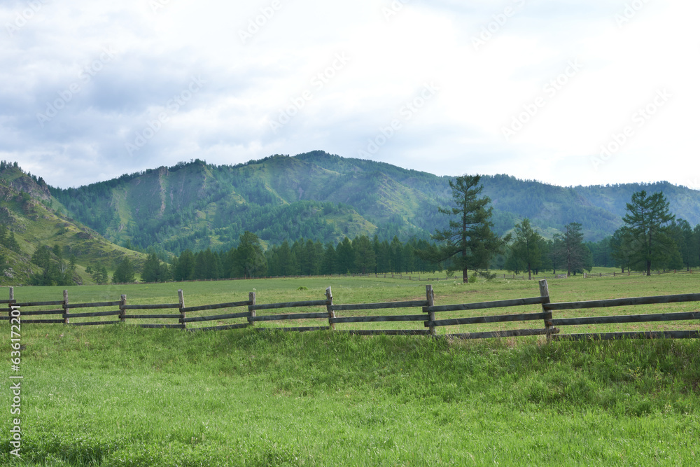 Wooden fence in a green meadow with mountains in the background