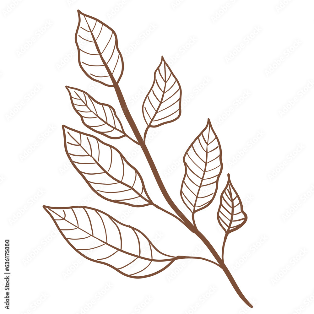 Leaf Leaf