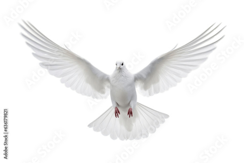 White Dove Flying Freely - Full Body on transparent Background, Generative Ai © Zaini