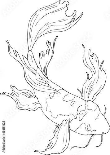 Japanese carp fish. Linear illustration, top view. Freehand drawing detailing the tail and fins. Vector image for quality printing. Japanese carp swims in the water. From the ZODIAC collection. Vector