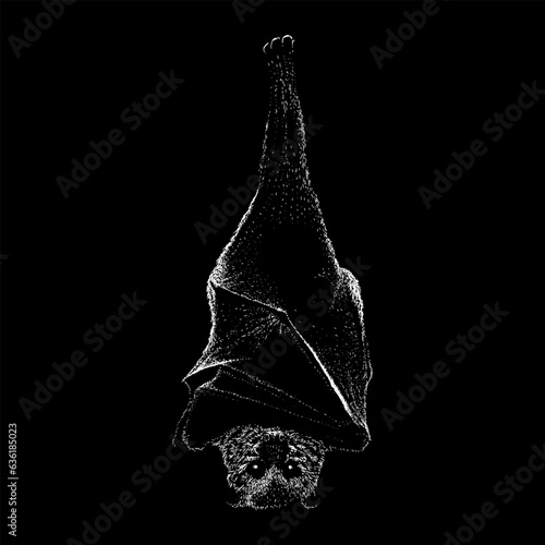 Bat hand drawing vector isolated on black background.