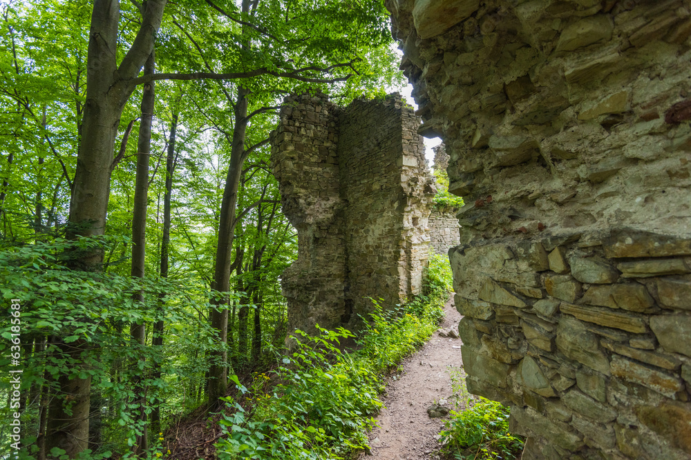 ruins of the Sobień castle in the Bieszczady Mountains
