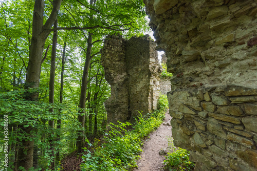 Fototapeta Naklejka Na Ścianę i Meble -  ruins of the Sobień castle in the Bieszczady Mountains
