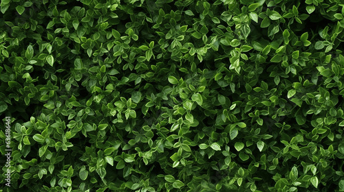 background and texture of the wall of natural green small leaves. eco wallpaper