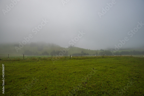 Fototapeta Naklejka Na Ścianę i Meble -  morning in the field