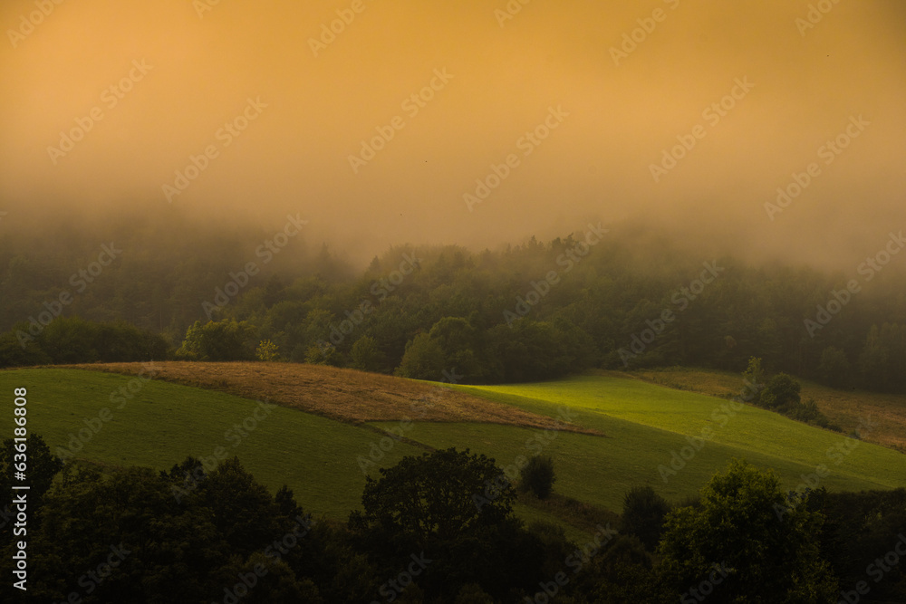 misty morning in the Bieszczady mountains