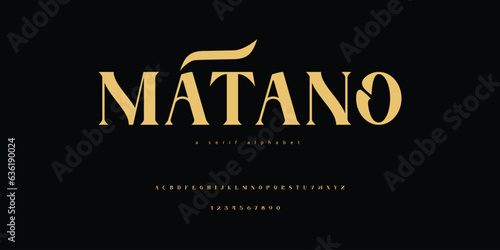 Decorative Classic Alphabet Font Typeface Elegant and Flowing Style
