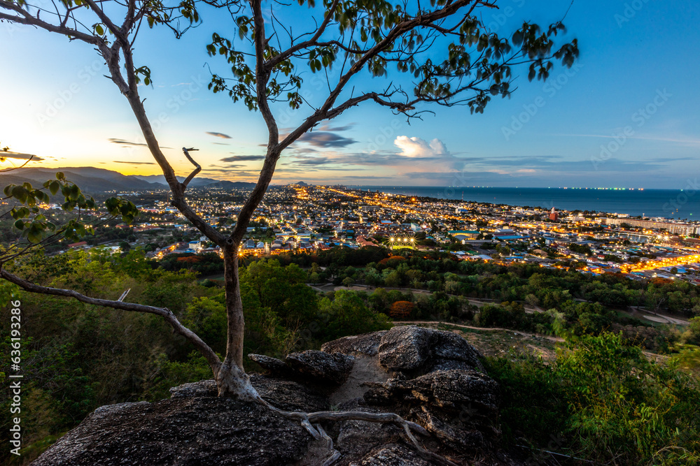 panoramic background of high mountain scenery, overlooking the atmosphere of the sea, trees and wind blowing in a cool blur, spontaneous beauty panoramic background of high mountain scenery, overlooking the atmosphere of the sea, trees and wind blowing in a cool blur, spontaneous beauty