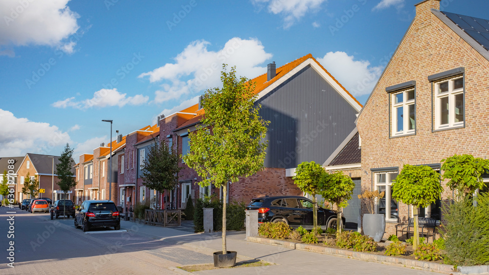 Dutch Suburban area with modern family houses, newly build modern family homes in the Netherlands, dutch family house in the Netherlands, Modern green neighbourhood - obrazy, fototapety, plakaty 