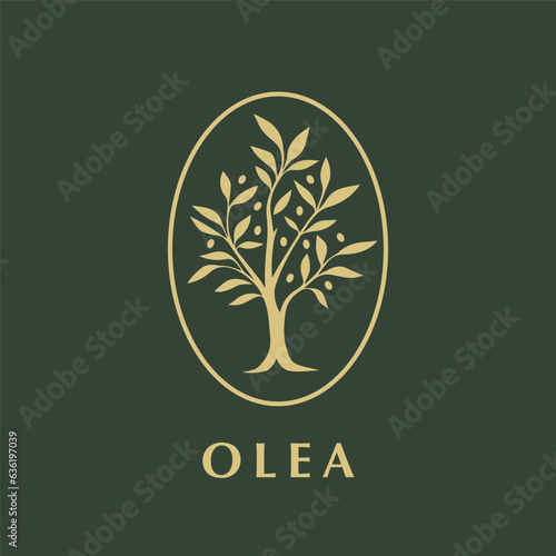 Olive tree logo mark design. Olea olive oil icon. Natural product emblem. Organic plant sign. Vector illustration.
