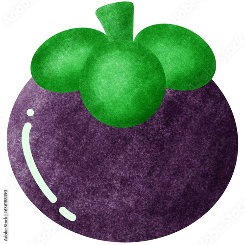 Mangosteen drawings