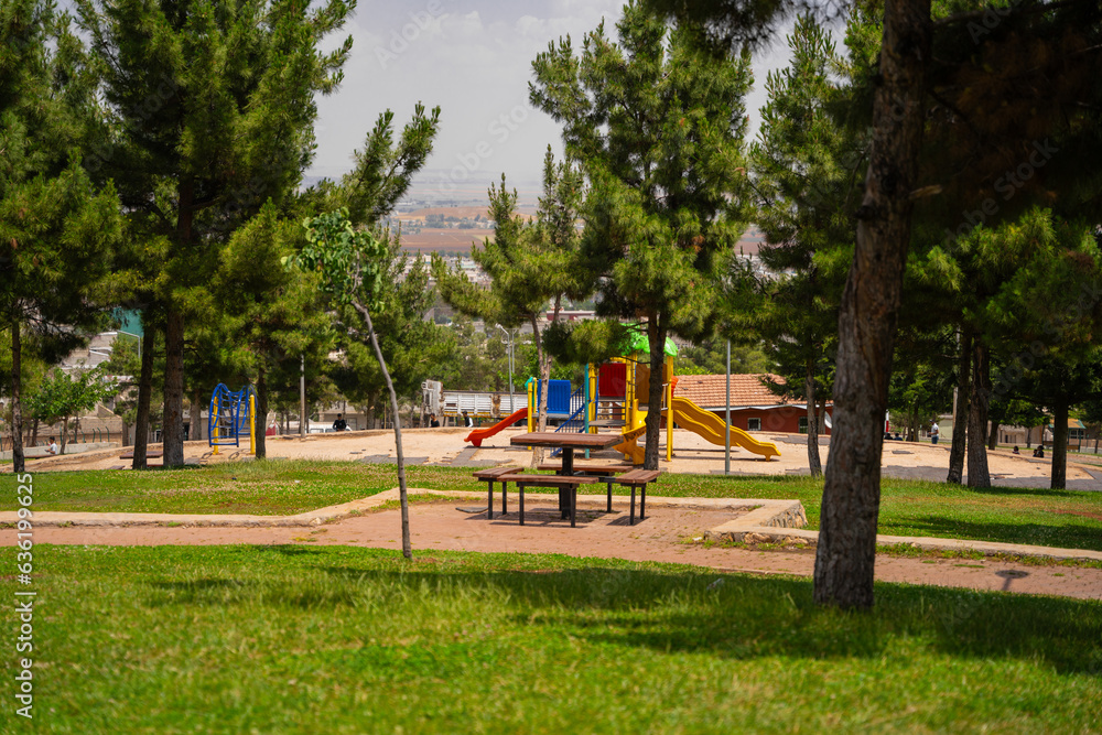 playground in the park playground in the park