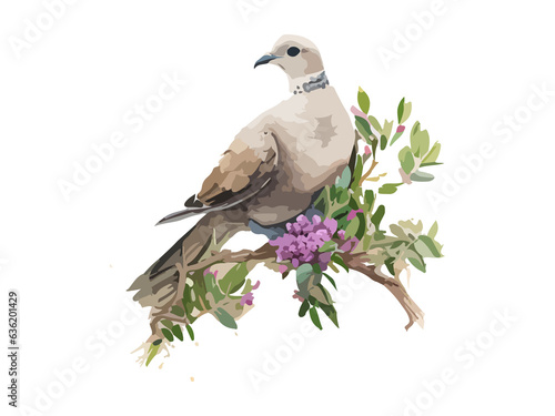 Cute dove colorful watercolor, decorated by flowers and leaves glowing path, doodle and realistic, vector illustration.
 photo